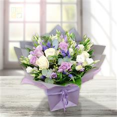 Camden Violet Drop